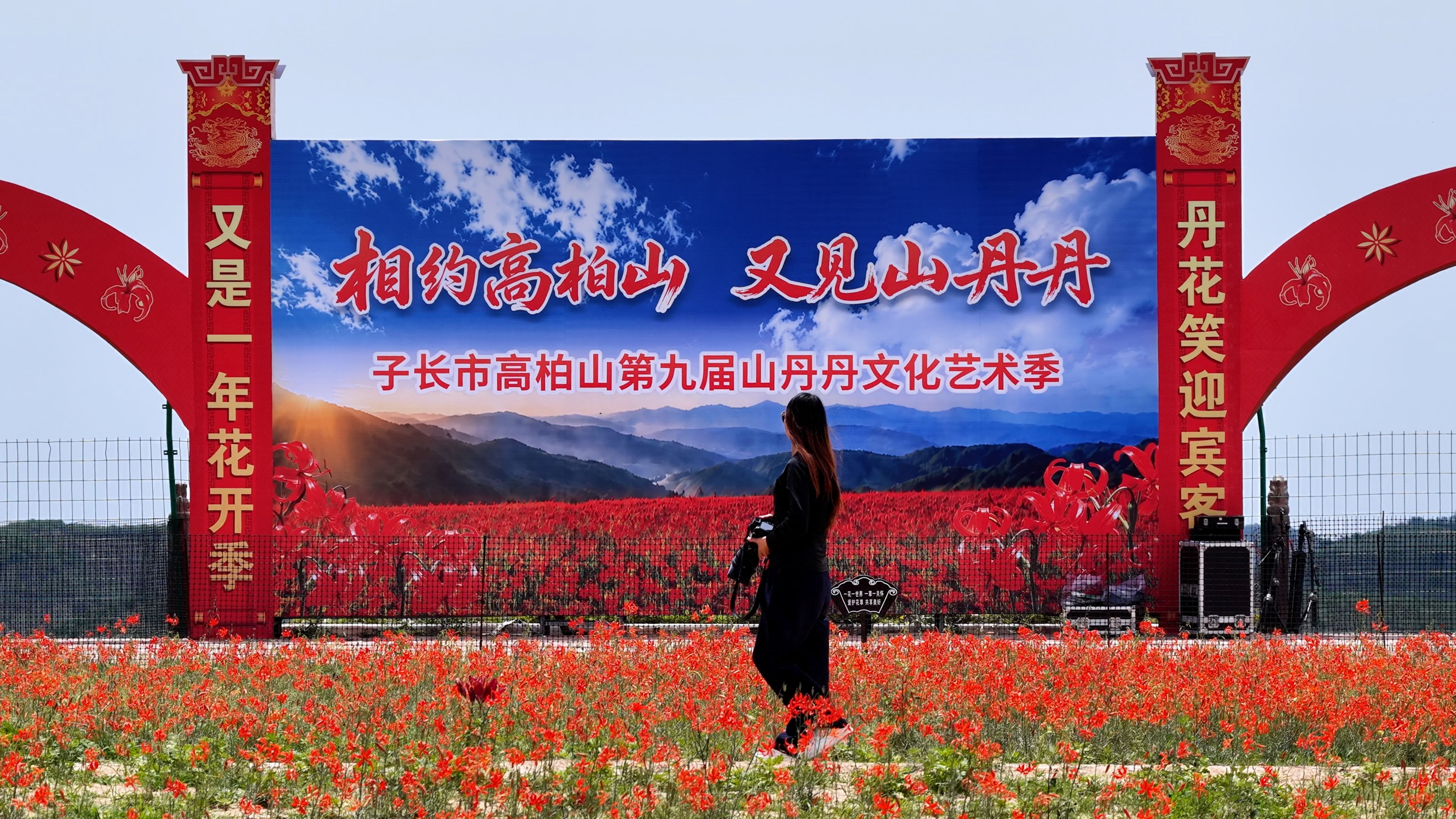 丹花笑迎宾客